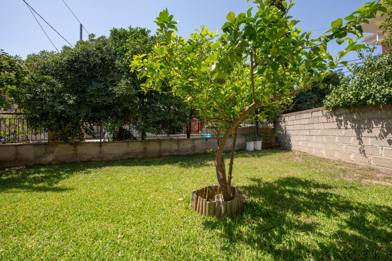 Mala - Μάλα Apartment Afytos Luaran gambar